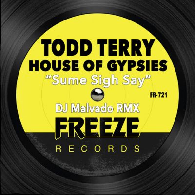 Todd Terry ft House Of Gypsies - Sume Sigh Say (Dj Malvado RMX)