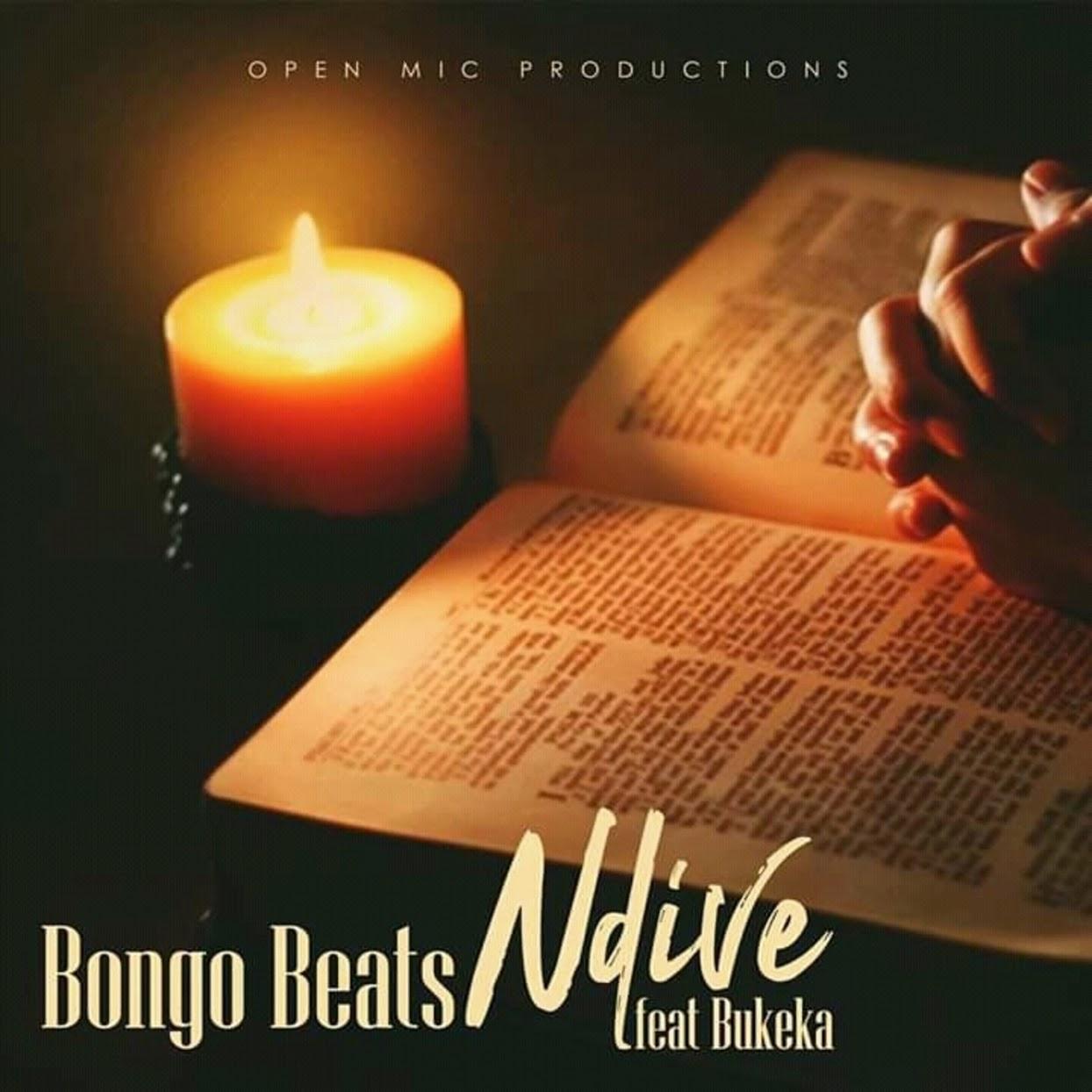 Bongo Beats - Ndive (feat. Bukeka)