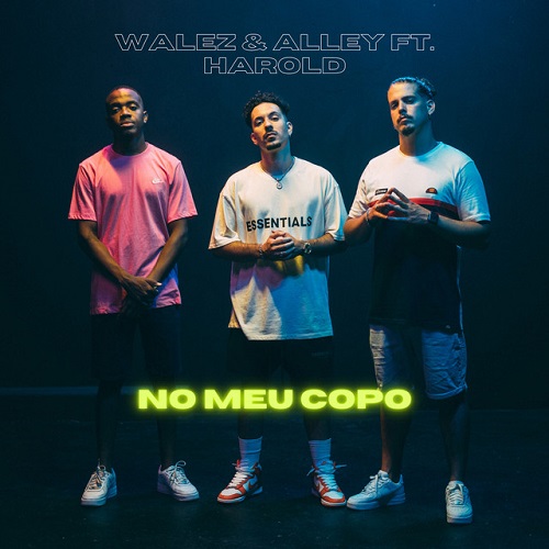 Walez & Alley - No Meu Copo (feat. Harold)
