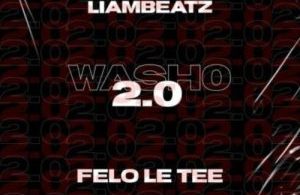 Felo Le Tee & Liam Beatz - Washo