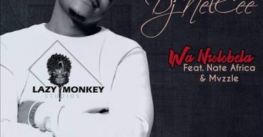 Dj NelCee - Wan'tolobela (feat. Nate Africa & Mvzzle)