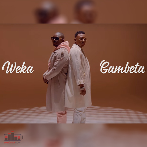 Gambeta Flock x Weka Wellemaa - GAMBETA