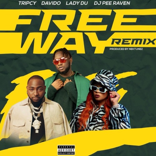 Tripsy, Lady Du, Davido & Nektunez - Freeway (Remix) [feat. DJ Pee Raven]