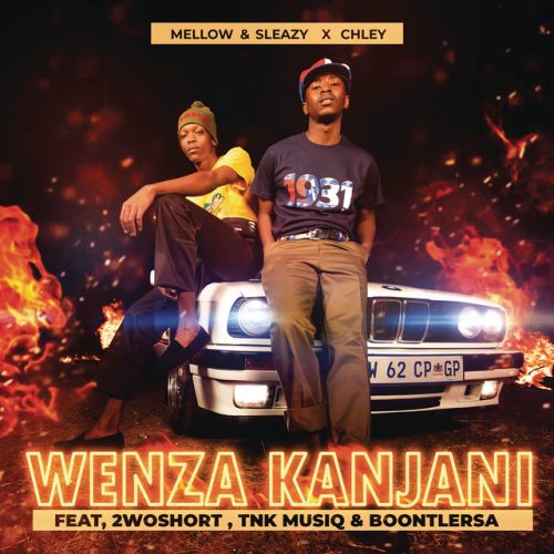 Mellow & Sleazy - Wenza Kanjani (feat. Chley, 2woshort, TNK MusiQ & BoontleRSA)