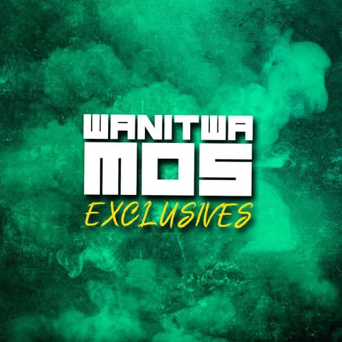 Wanitwa Mos & Master KG - Ngithwale (feat. Nobuhle)