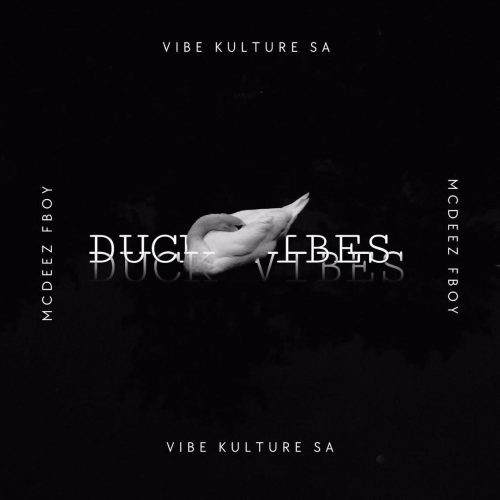 Vibekulture SA & Mcdeez Fboy - Duck Vibes