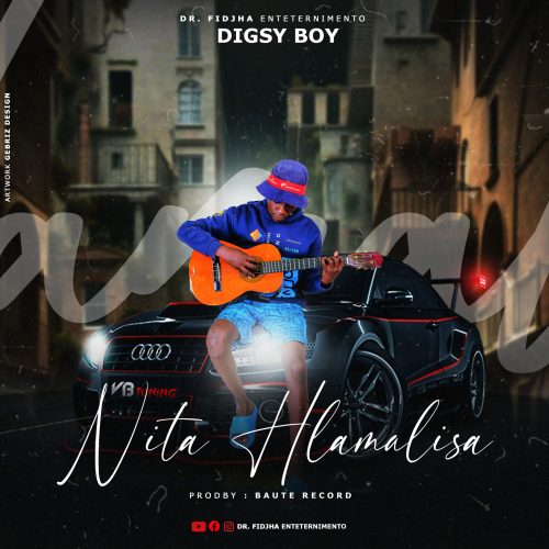 Digsy Boy - Nita Hlamalisa