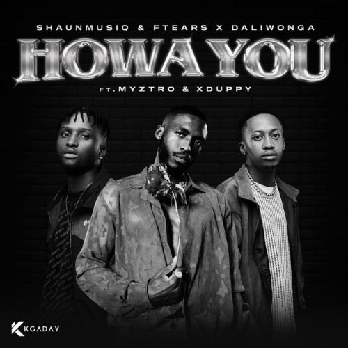 Shaunmusiq, Ftears & Daliwonga - Howa You (feat. Myztro &