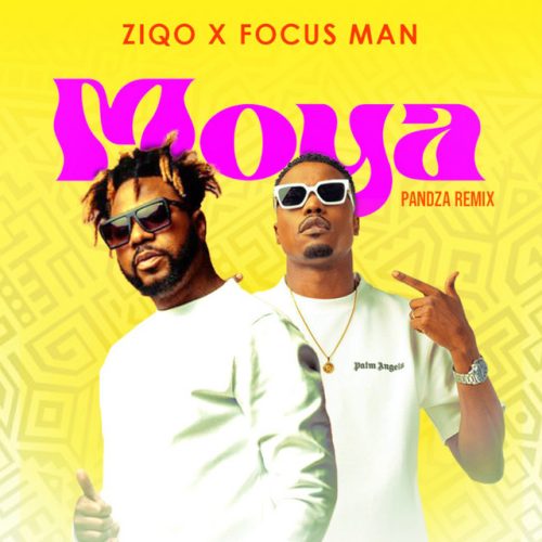 Ziqo & Focus Man - Moya (Pandza Remix)