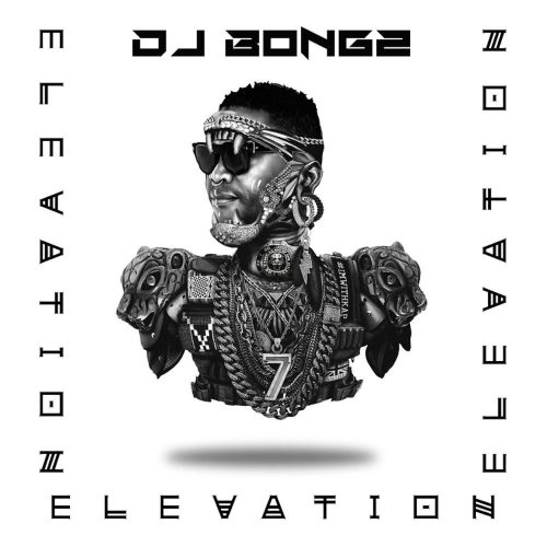 DJ Bongz - Elevation (Album)