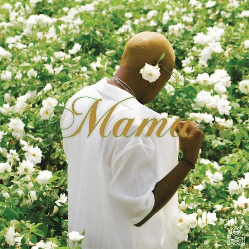 Pcee - Intro (Mama Album)